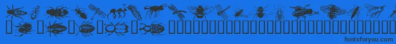 Wminsects1 Font – Black Fonts on Blue Background