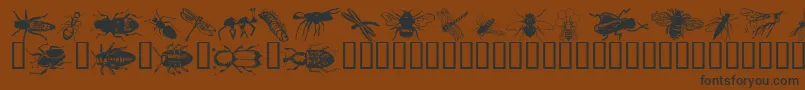 Czcionka Wminsects1 – czarne czcionki na brązowym tle