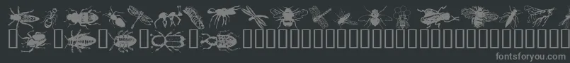 Wminsects1 Font – Gray Fonts on Black Background