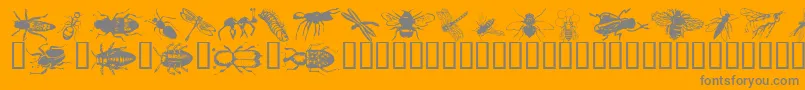 Wminsects1 Font – Gray Fonts on Orange Background