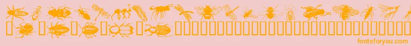 Wminsects1 Font – Orange Fonts on Pink Background