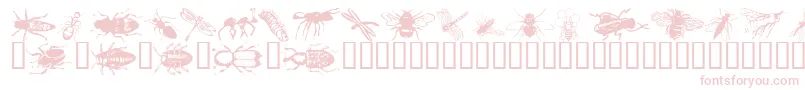 Wminsects1 Font – Pink Fonts on White Background