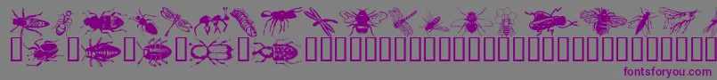 Wminsects1 Font – Purple Fonts on Gray Background
