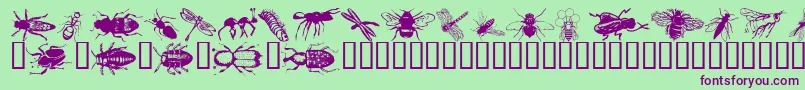 Wminsects1 Font – Purple Fonts on Green Background