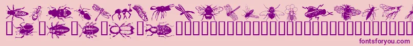 Wminsects1 Font – Purple Fonts on Pink Background