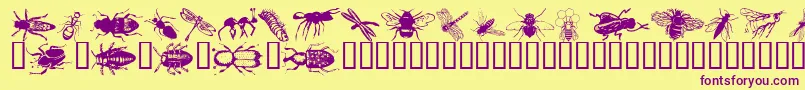 Wminsects1 Font – Purple Fonts on Yellow Background