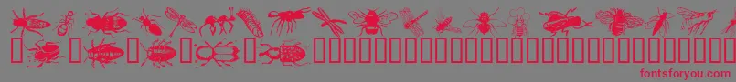 フォントWminsects1 – 赤い文字の灰色の背景