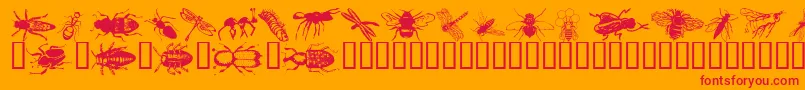 Police Wminsects1 – polices rouges sur fond orange