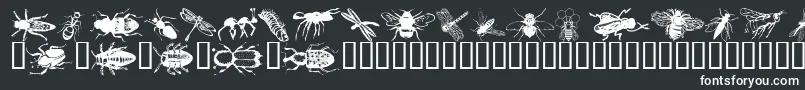 Wminsects1 Font – White Fonts on Black Background