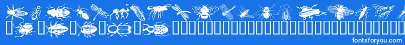 En savoir plus sur la police Wminsects1 Police Wminsects1 – polices blanches sur fond bleu