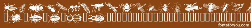 Wminsects1 Font – White Fonts on Brown Background