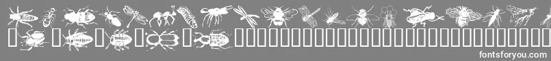 Czcionka Wminsects1 – białe czcionki na szarym tle