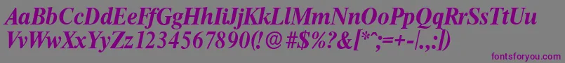 ThamesserialBolditalic Font – Purple Fonts on Gray Background