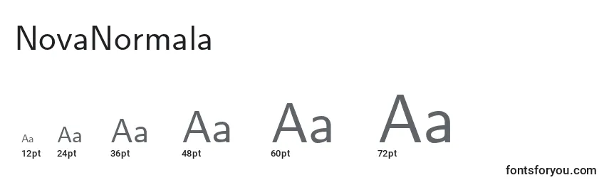 NovaNormala Font Sizes