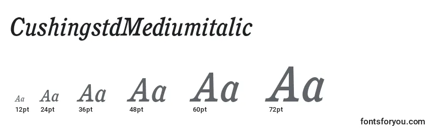 Размеры шрифта CushingstdMediumitalic