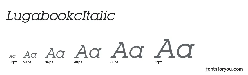 Размеры шрифта LugabookcItalic