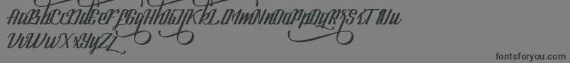 Więcej informacji o czcionce LookStandard Czcionka LookStandard – czarne czcionki na szarym tle