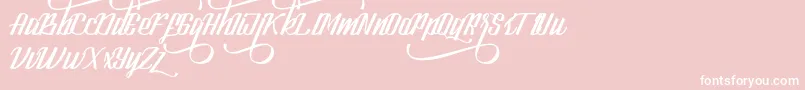 LookStandard Font – White Fonts on Pink Background