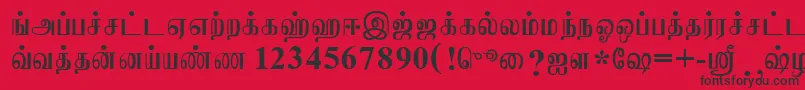 JaffnaNormal Font – Black Fonts on Red Background