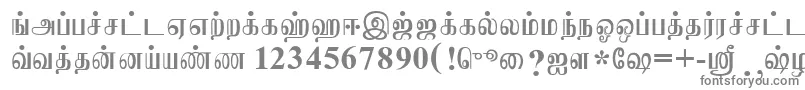 JaffnaNormal Font – Gray Fonts on White Background