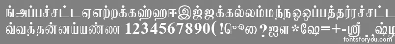 JaffnaNormal Font – White Fonts on Gray Background