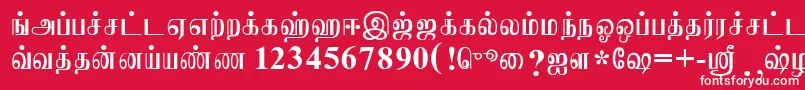 JaffnaNormal Font – White Fonts on Red Background
