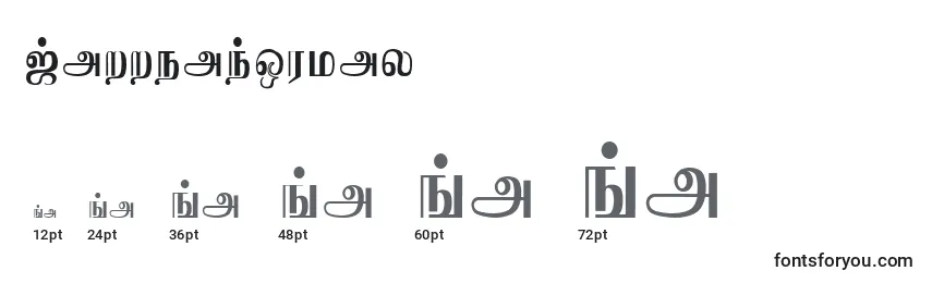 Размеры шрифта JaffnaNormal