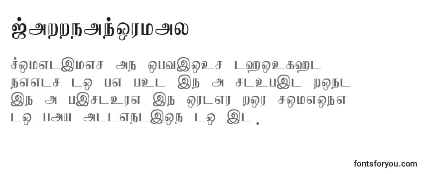 Обзор шрифта JaffnaNormal