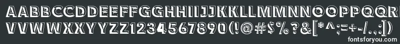 Race1BranntChiseledNcv Font – White Fonts on Black Background