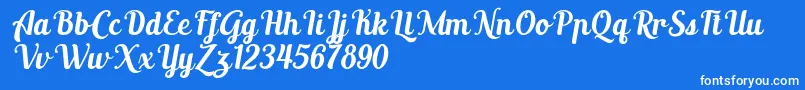 AltoysitalicPersonalOnly Font – White Fonts on Blue Background