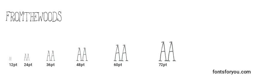 FromTheWoods Font Sizes