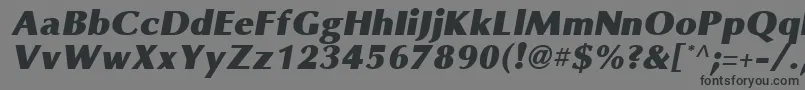 OmniBlackItalic-fontti – mustat fontit harmaalla taustalla