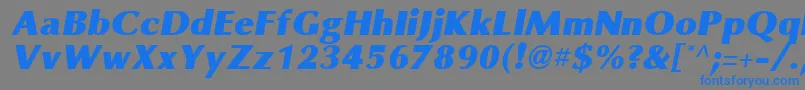 More about OmniBlackItalic Font OmniBlackItalic Font – Blue Fonts on Gray Background