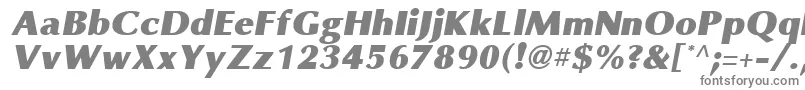 フォントOmniBlackItalic – 白い背景に灰色の文字