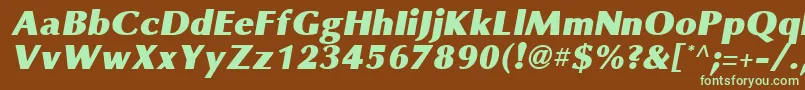 OmniBlackItalic Font – Green Fonts on Brown Background