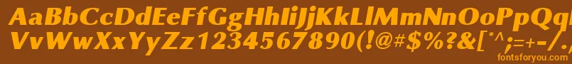 OmniBlackItalic Font – Orange Fonts on Brown Background