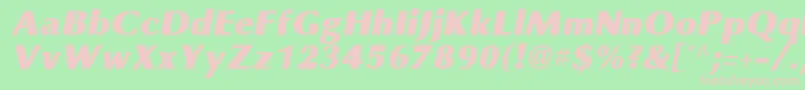 OmniBlackItalic Font – Pink Fonts on Green Background