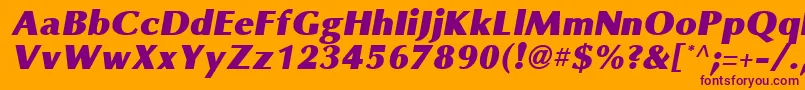 OmniBlackItalic Font – Purple Fonts on Orange Background