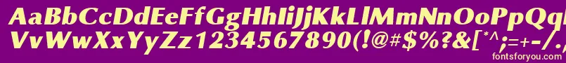 OmniBlackItalic Font – Yellow Fonts on Purple Background