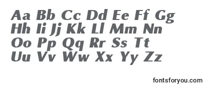 OmniBlackItalic Font