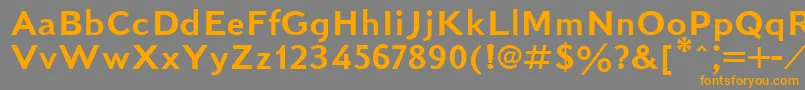 KudrashovSansserifPlain Font – Orange Fonts on Gray Background