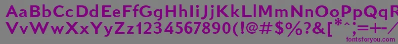 KudrashovSansserifPlain Font – Purple Fonts on Gray Background