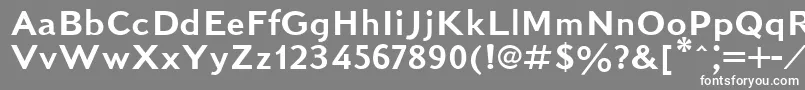 フォントKudrashovSansserifPlain – 灰色の背景に白い文字