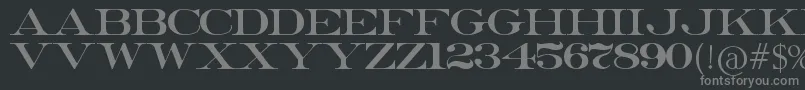 フォントErieRoman – 黒い背景に灰色の文字