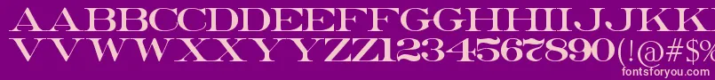 ErieRoman Font – Pink Fonts on Purple Background