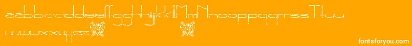 TheNewMetropolitanTrial Font – White Fonts on Orange Background