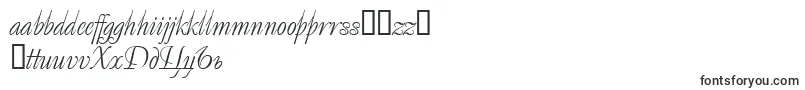 Decorsuper.Kz Font – Estonian Fonts