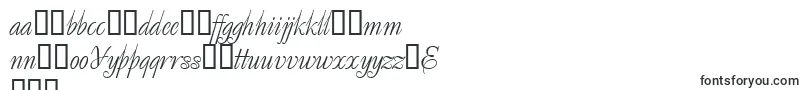 Decorsuper.Kz Font – Polish Fonts