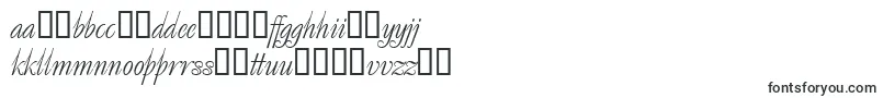 Decorsuper.Kz Font – Lithuanian Fonts