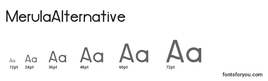 Размеры шрифта MerulaAlternative